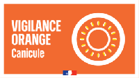 Vigilance  \